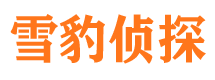 合肥市私家侦探